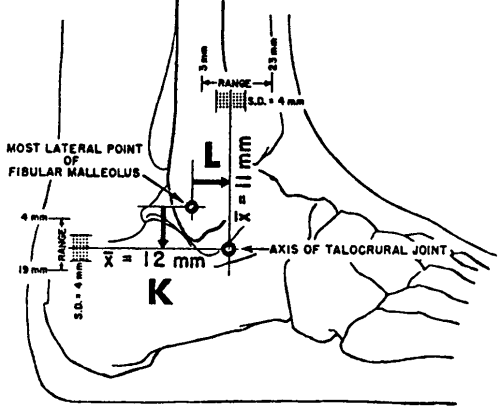 Findnig the ankle's axis of rotation