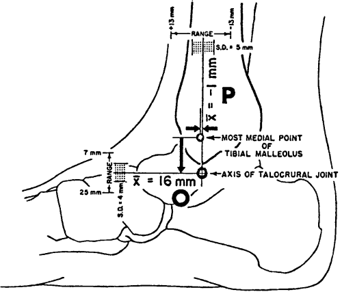 Findnig the ankle's axis of rotation